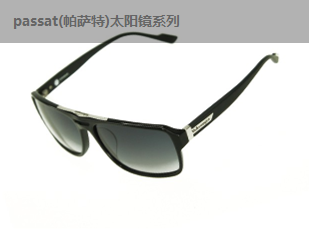 Passat(帕萨特)系列